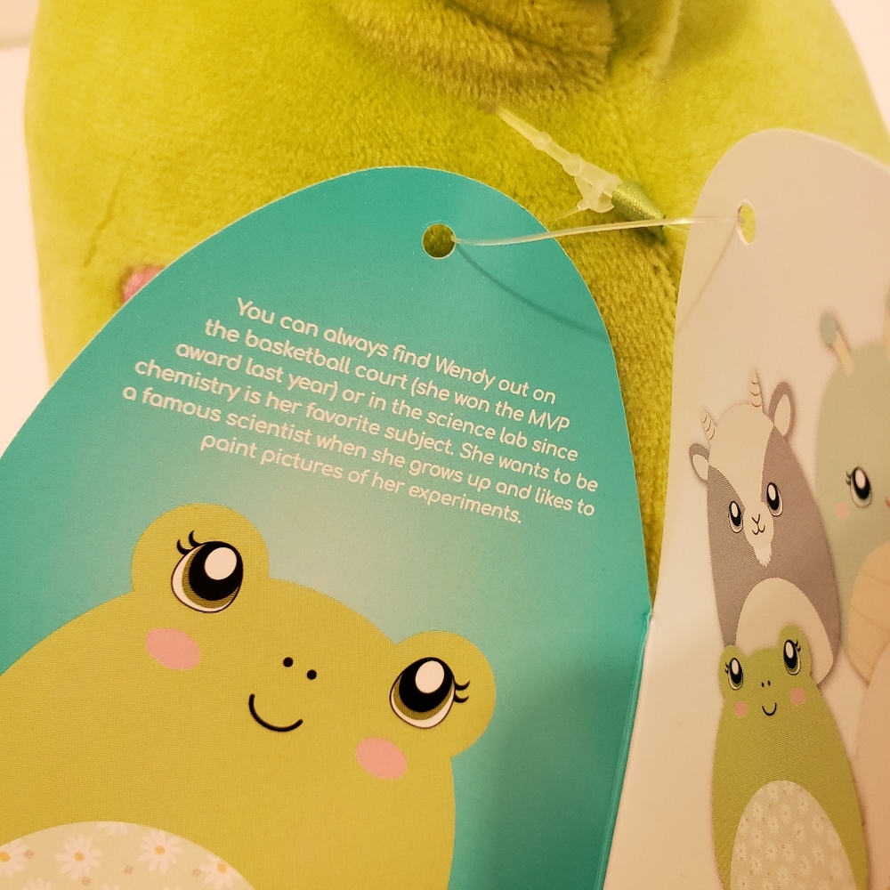 Wendy The Frog Squishmallow 8" Easter Plush NWT Stuffed Animal Daisies Green - Picture 4 of 4